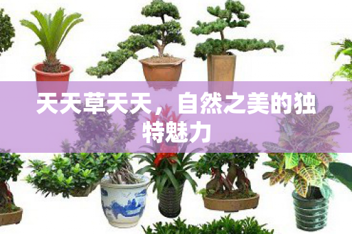 自然之美的独特魅力图片