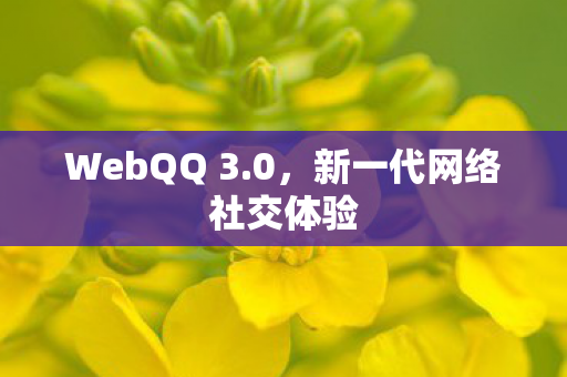 新一代网络社交体验图片