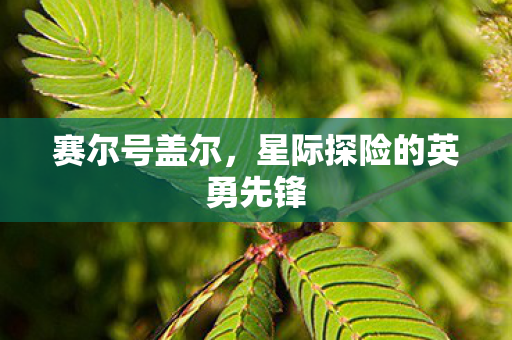 星际探险的英勇先锋图片