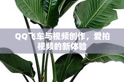 QQ飞车与视频创作图片