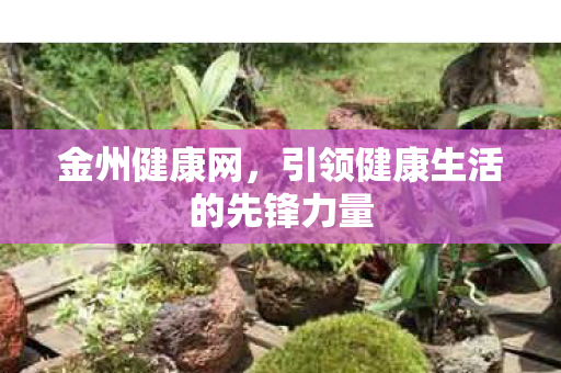 引领健康生活的先锋力量图片