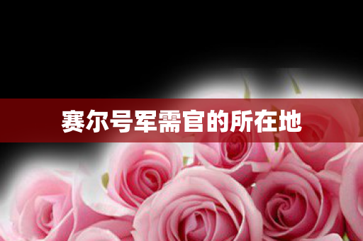 赛尔号军需官的所在地图片