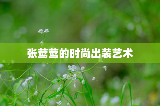 张莺莺的时尚出装艺术图片