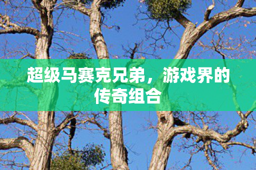 游戏界的传奇组合图片