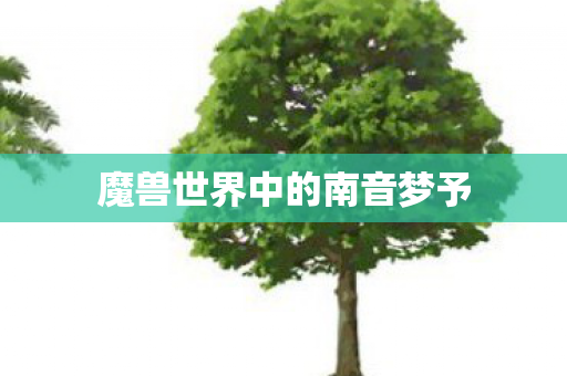 魔兽世界中的南音梦予图片