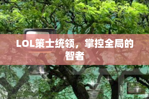 LOL策士统领图片