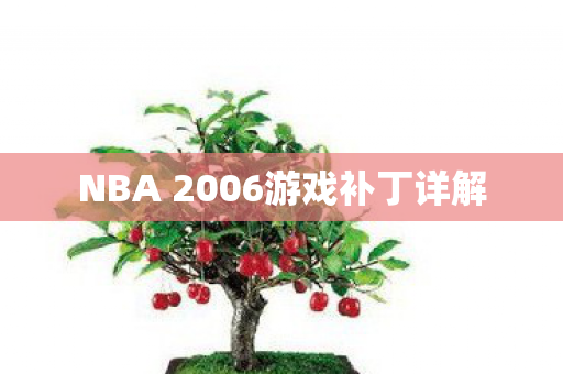 NBA 2006游戏补丁详解图片