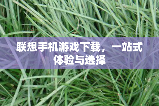 联想手机游戏下载图片