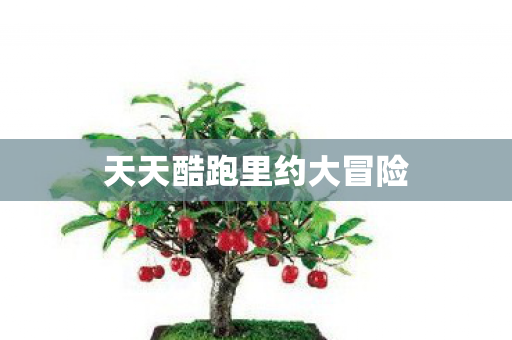 天天酷跑里约大冒险图片