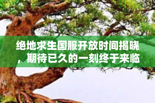绝地求生国服开放时间揭晓图片