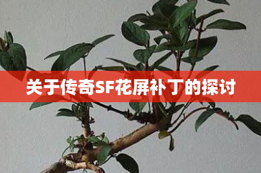 关于传奇SF花屏补丁的探讨图片