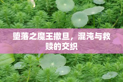 混沌与救赎的交织图片
