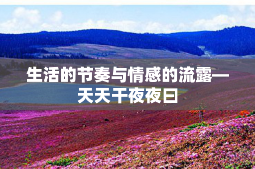 生活的节奏与情感的流露图片