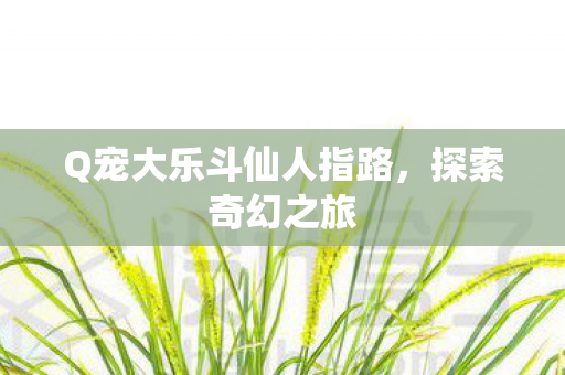 Q宠大乐斗仙人指路图片