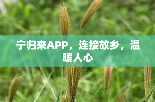 宁归来APP图片
