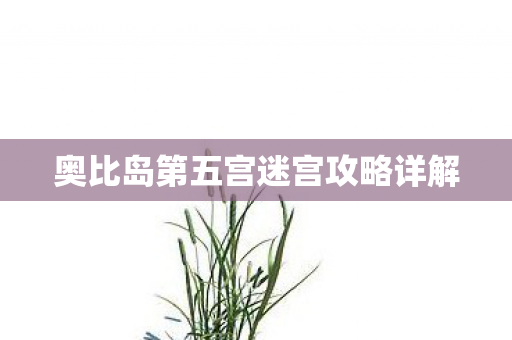 奥比岛第五宫迷宫攻略详解图片