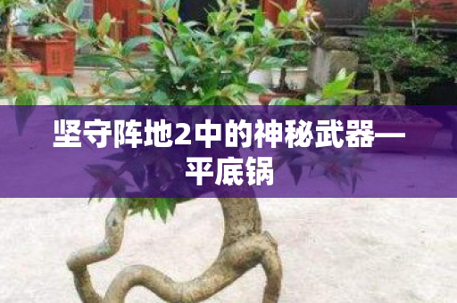 坚守阵地2中的神秘武器图片