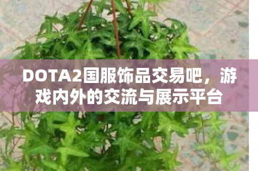 DOTA2国服饰品交易吧图片