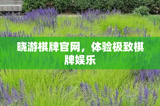 体验极致棋牌娱乐图片