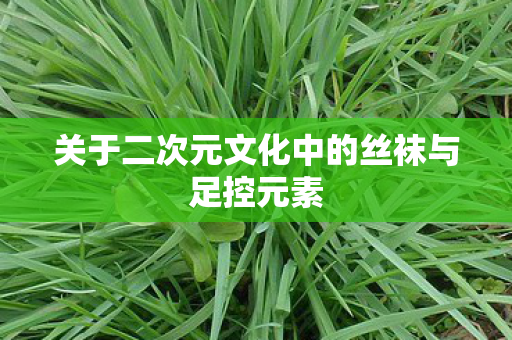 关于二次元文化中的丝袜与足控元素图片