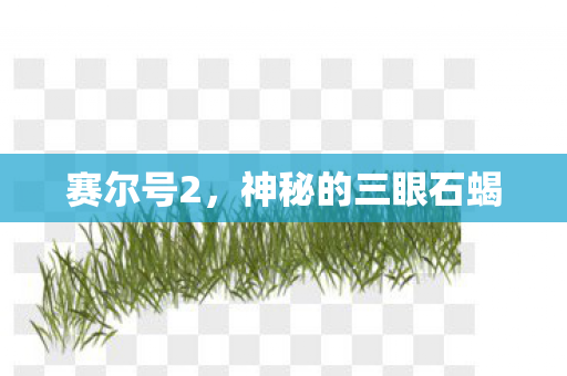 神秘的三眼石蝎图片