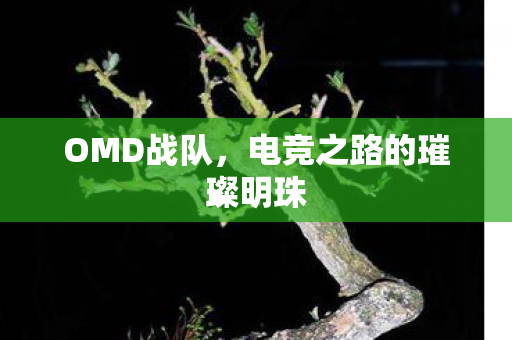 电竞之路的璀璨明珠图片