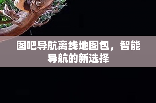 图吧导航离线地图包图片