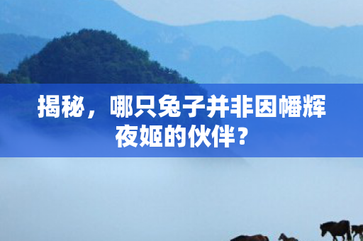 哪只兔子并非因幡辉夜姬的伙伴图片