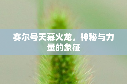 神秘与力量的象征图片
