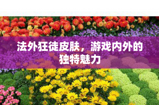 游戏内外的独特魅力图片