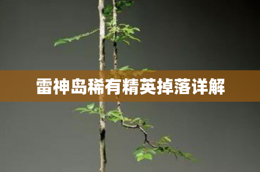 雷神岛稀有精英掉落详解图片