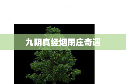 九阴真经烟雨庄奇遇图片