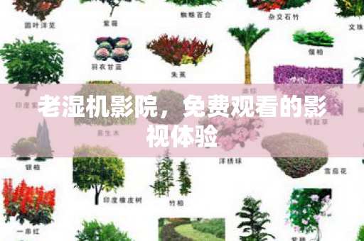 免费观看的影视体验图片
