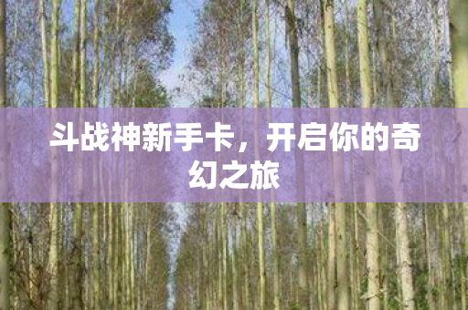 开启你的奇幻之旅图片