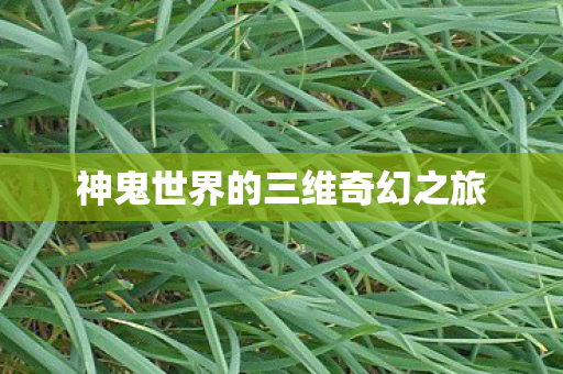 神鬼世界的三维奇幻之旅图片