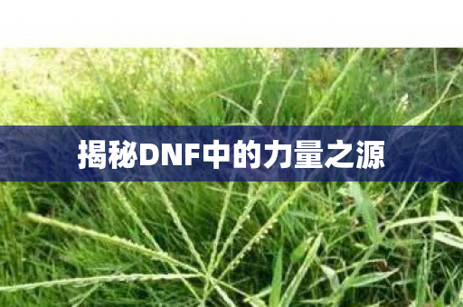 揭秘DNF中的力量之源图片
