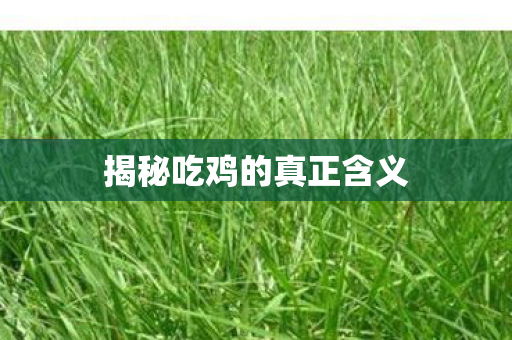 揭秘吃鸡的真正含义图片