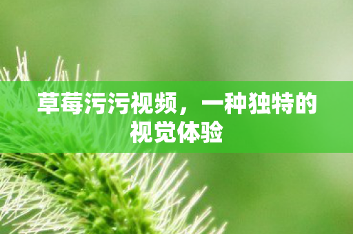 一种独特的视觉体验图片