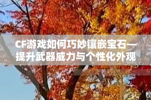 提升武器威力与个性化外观的指南图片