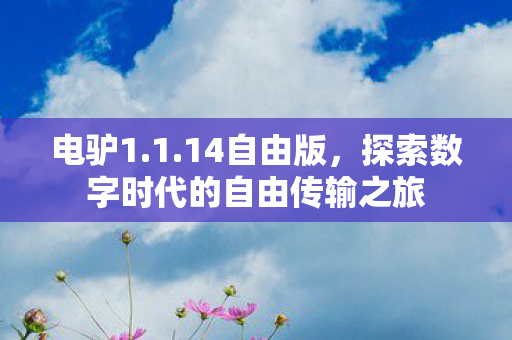 探索数字时代的自由传输之旅图片