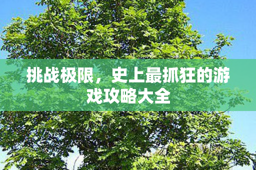史上最抓狂的游戏攻略大全图片