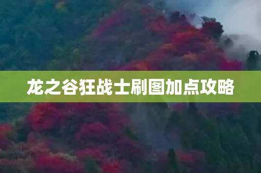 龙之谷狂战士刷图加点攻略图片