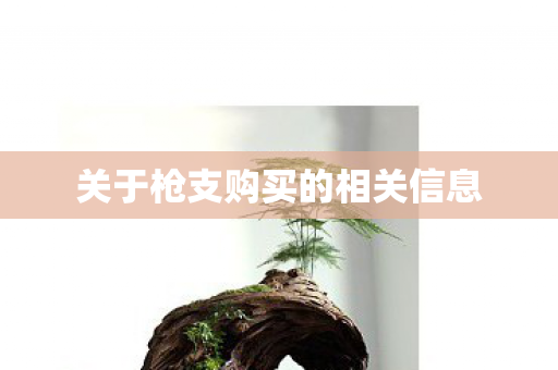 关于枪支购买的相关信息图片