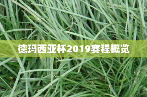 德玛西亚杯2019赛程概览图片