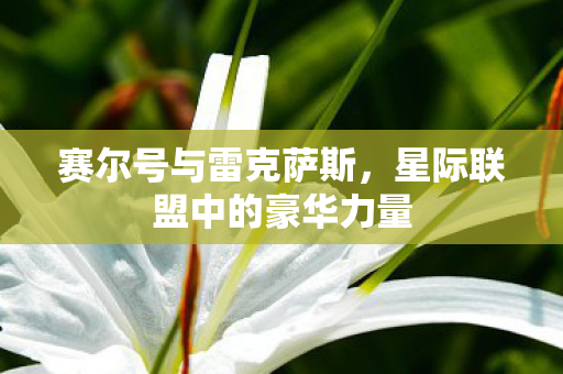 星际联盟中的豪华力量图片