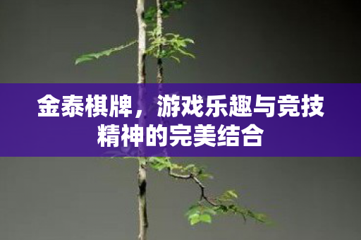 游戏乐趣与竞技精神的完美结合图片