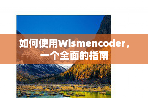 如何使用Wismencoder图片