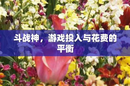 游戏投入与花费的平衡图片