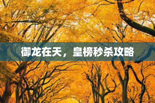 皇榜秒杀攻略图片