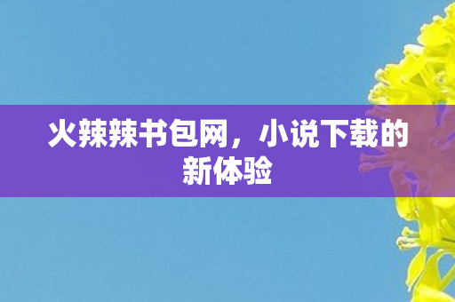 小说下载的新体验图片